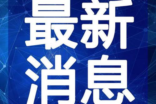 娱乐大嘴吃瓜视频大全最新,大嘴吃瓜视频大全，带你探秘明星幕后故事