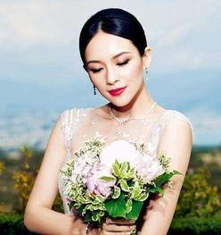 吃瓜娱乐圈章子怡,娱乐圈风云变幻中的坚韧身影