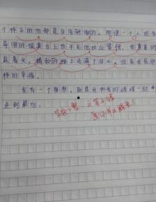 娱乐吃瓜酱小学生作文,小学生作文中的趣味与智慧 第1张 娱乐吃瓜酱小学生作文,小学生作文中的趣味与智慧 第1张