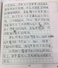 娱乐吃瓜酱小学生作文,小学生作文中的趣味与智慧 第3张 娱乐吃瓜酱小学生作文,小学生作文中的趣味与智慧 第3张