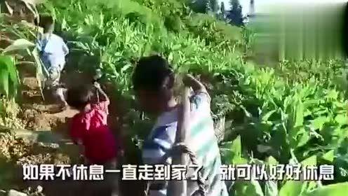 情人节娱乐吃瓜视频大全,趣味视频大盘点 第3张 情人节娱乐吃瓜视频大全,趣味视频大盘点 第3张