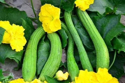 糖豆豆娱乐圈吃瓜合集,揭秘明星幕后故事与热点事件 第3张 糖豆豆娱乐圈吃瓜合集,揭秘明星幕后故事与热点事件 第3张