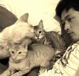 娱乐吃瓜猫张一张,揭秘娱乐圈背后的那些事儿 第2张 娱乐吃瓜猫张一张,揭秘娱乐圈背后的那些事儿 第2张