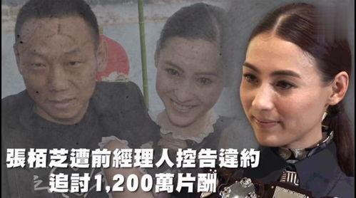 娱乐吃瓜资料在哪里看啊,吃瓜资料一网打尽,尽在这里! 第2张 娱乐吃瓜资料在哪里看啊,吃瓜资料一网打尽,尽在这里! 第2张