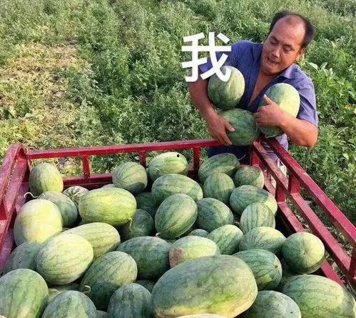 娱乐圈还有什么瓜可以吃,揭秘明星幕后故事与精彩瞬间 第3张 娱乐圈还有什么瓜可以吃,揭秘明星幕后故事与精彩瞬间 第3张