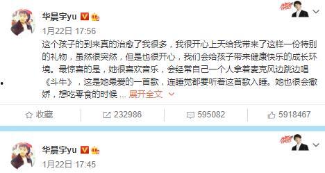 娱乐圈的那个吃瓜文件,真相与谣言的交织  第2张