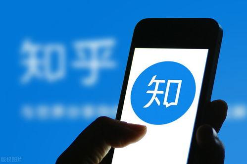 娱乐吃瓜生活小说推荐知乎,从吃瓜群众到幕后推手的华丽蜕变  第3张