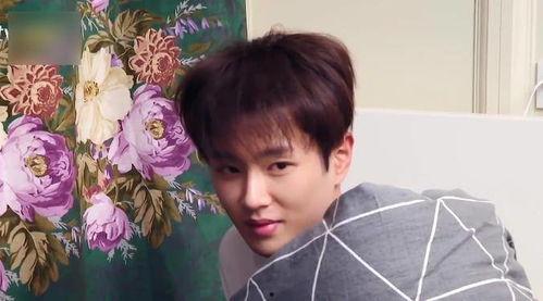 娱乐吃瓜君范丞丞小说,范丞丞的甜蜜瓜田  第3张