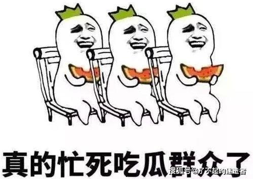 娱乐吃瓜酱防止智力退化,智慧不退——趣味生活,智力提升之道  第2张 娱乐吃瓜酱防止智力退化,智慧不退——趣味生活,智力提升之道  第2张