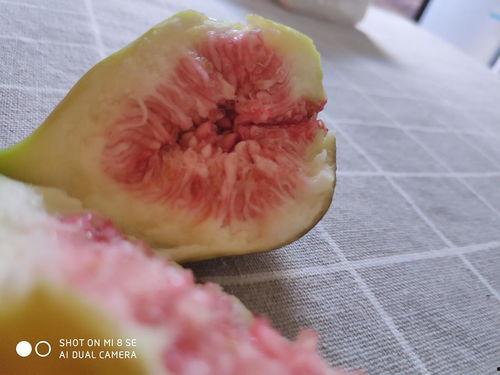 娱乐吃瓜酱密集恐惧症,娱乐吃瓜酱的惊悚之旅 第3张 娱乐吃瓜酱密集恐惧症,娱乐吃瓜酱的惊悚之旅 第3张