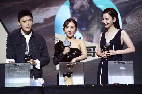 娱乐圈吃瓜爆料汇总最新,揭秘明星背后的故事与真相 第3张 娱乐圈吃瓜爆料汇总最新,揭秘明星背后的故事与真相 第3张