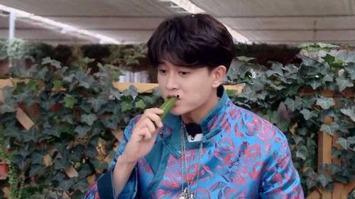 娱乐吃瓜刘宇宁视频大全,笑料百出，精彩纷呈  第3张