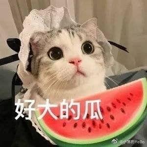 娱乐吃瓜酱黏人的女朋友,娱乐吃瓜酱的甜蜜日常