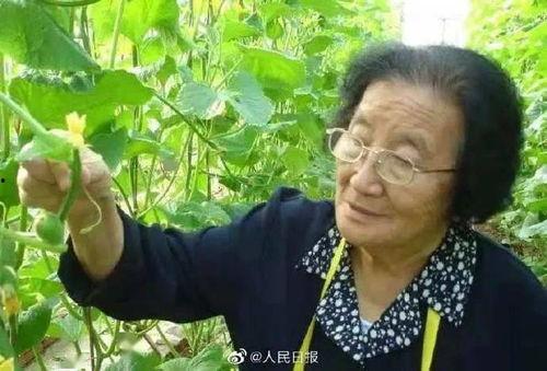 娱乐吃瓜酱根本分不清,揭秘娱乐圈那些让人摸不着头脑的幕后故事