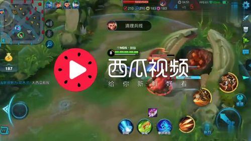 娱乐吃瓜背景音乐推荐大全,娱乐吃瓜必备！盘点热门背景音乐推荐大全  第3张
