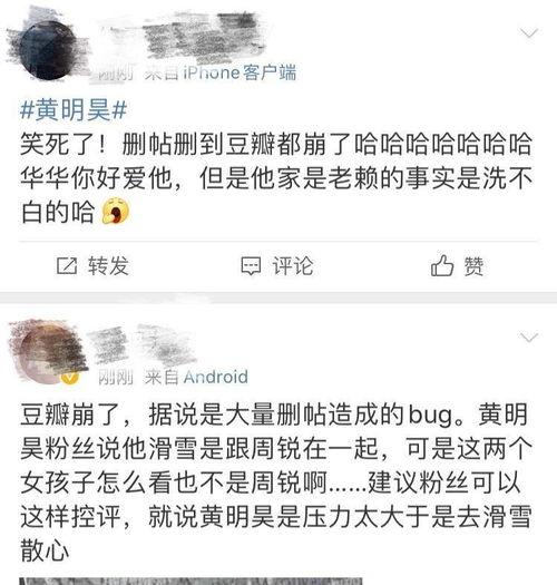 娱乐吃瓜文字怎么写出来,揭秘明星幕后故事  第3张