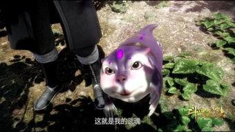 娱乐吃瓜君遛鸟大师是谁,揭秘娱乐吃瓜君背后的神秘人物  第3张