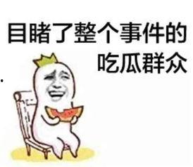娱乐吃瓜君被告什么意思,被告背后的真相揭秘  第1张