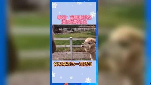 吃瓜娱乐群众2号,揭秘娱乐圈幕后故事