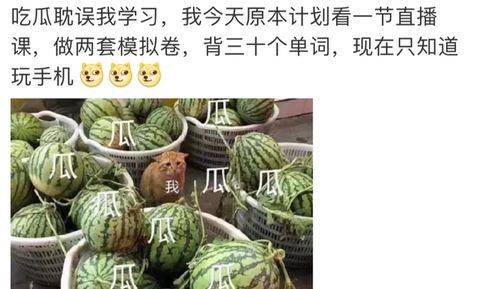 娱乐圈吃瓜大全421,揭秘娱乐圈背后的惊人真相与幕后故事 第1张 娱乐圈吃瓜大全421,揭秘娱乐圈背后的惊人真相与幕后故事 第1张
