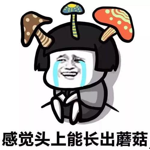 娱乐吃瓜酱出门忘关空调,娱乐吃瓜酱上演“电费刺客” 第2张 娱乐吃瓜酱出门忘关空调,娱乐吃瓜酱上演“电费刺客” 第2张