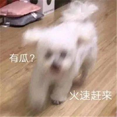娱乐圈吃瓜微信聊天,幕后八卦大曝光  第1张