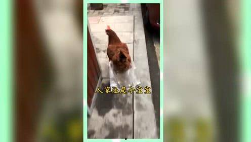 那些娱乐至死的吃瓜群众,揭秘吃瓜群众的狂欢世界 第2张 那些娱乐至死的吃瓜群众,揭秘吃瓜群众的狂欢世界 第2张