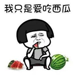 娱乐吃瓜是什么意思,网络热词背后的文化现象 第2张 娱乐吃瓜是什么意思,网络热词背后的文化现象 第2张