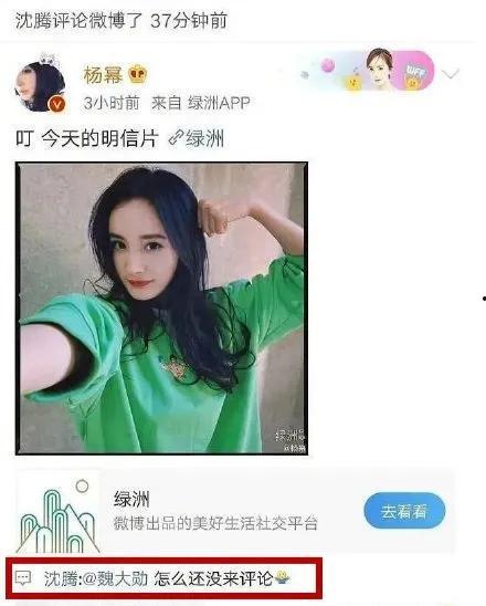 娱乐圈吃瓜网站叫什么,那些你不知道的“吃瓜”网站幕后故事 第3张 娱乐圈吃瓜网站叫什么,那些你不知道的“吃瓜”网站幕后故事 第3张