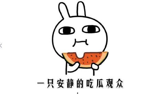 娱乐吃瓜点评怎么写的啊,揭秘明星幕后故事 第3张 娱乐吃瓜点评怎么写的啊,揭秘明星幕后故事 第3张