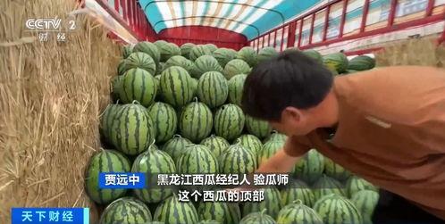 娱乐圈吃瓜直播间甘蓝,甘蓝带你揭秘明星幕后故事 第2张 娱乐圈吃瓜直播间甘蓝,甘蓝带你揭秘明星幕后故事 第2张