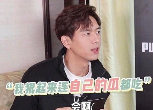 吃瓜娱乐圈李现视频,揭秘明星幕后故事  第2张